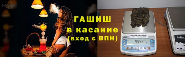 сатива Алзамай