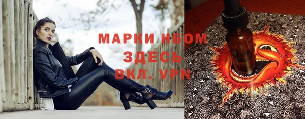сатива Алзамай