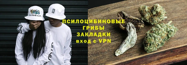 apvp Алексин