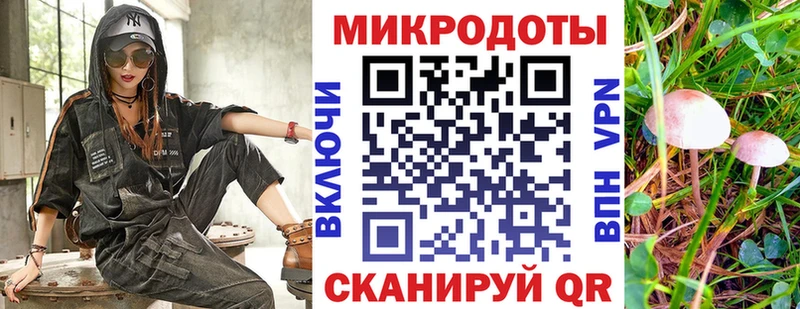 МЕГА маркетплейс  Киржач  Галлюциногенные грибы Psilocybe 