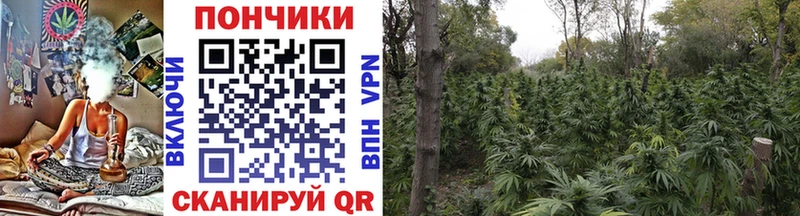 Конопля семена Киржач